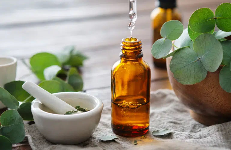 Organic Eucalyptus Essential Oil