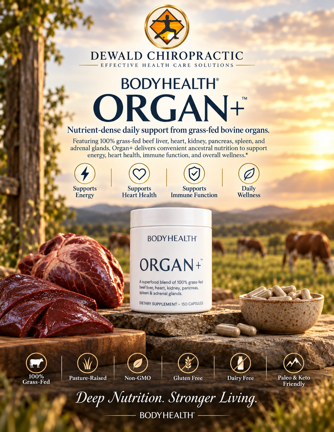 BodyHealth Organ+