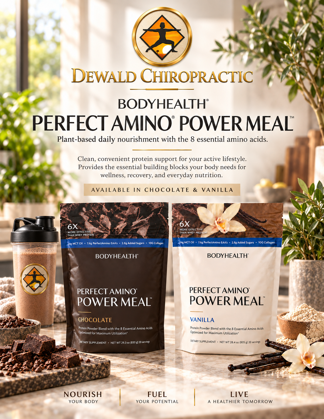 BodyHealth Perfect Amino Power Meal (20 servings)