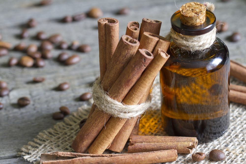 Organic Cinnamon Leaf Essential Oil