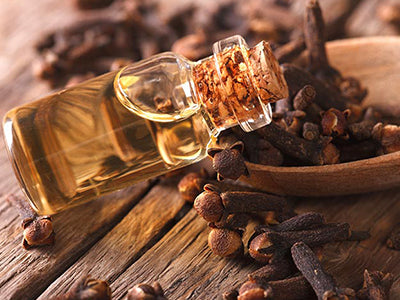 Organic Clove Leaf Essential Oil