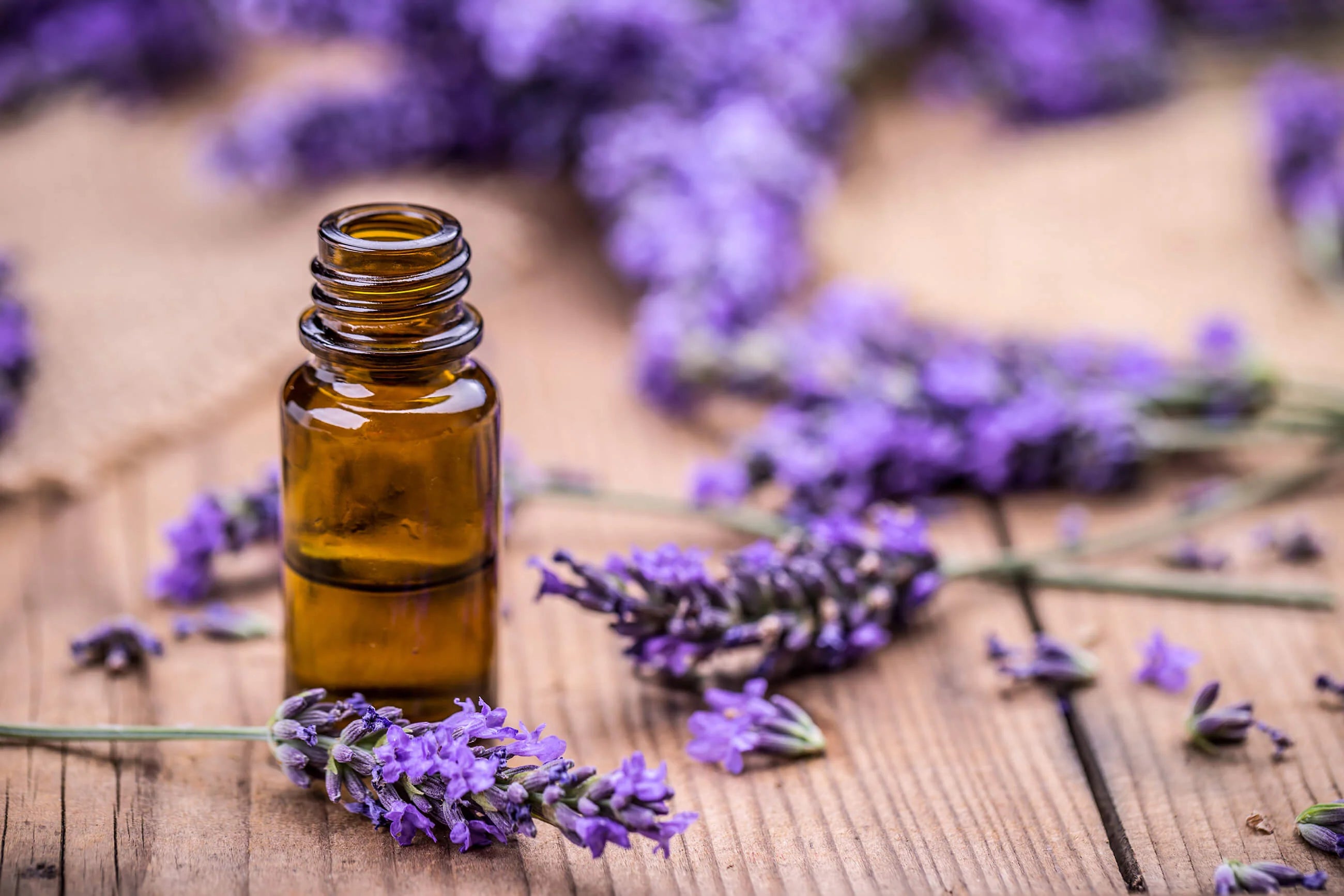 Organic Lavender Essential Oil